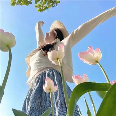 花盆