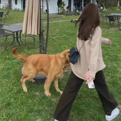 穿着旗袍的女孩