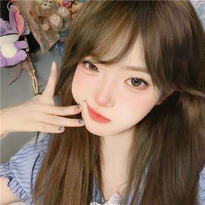 大象与小蝶物语