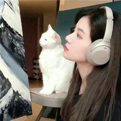 安全维纳斯